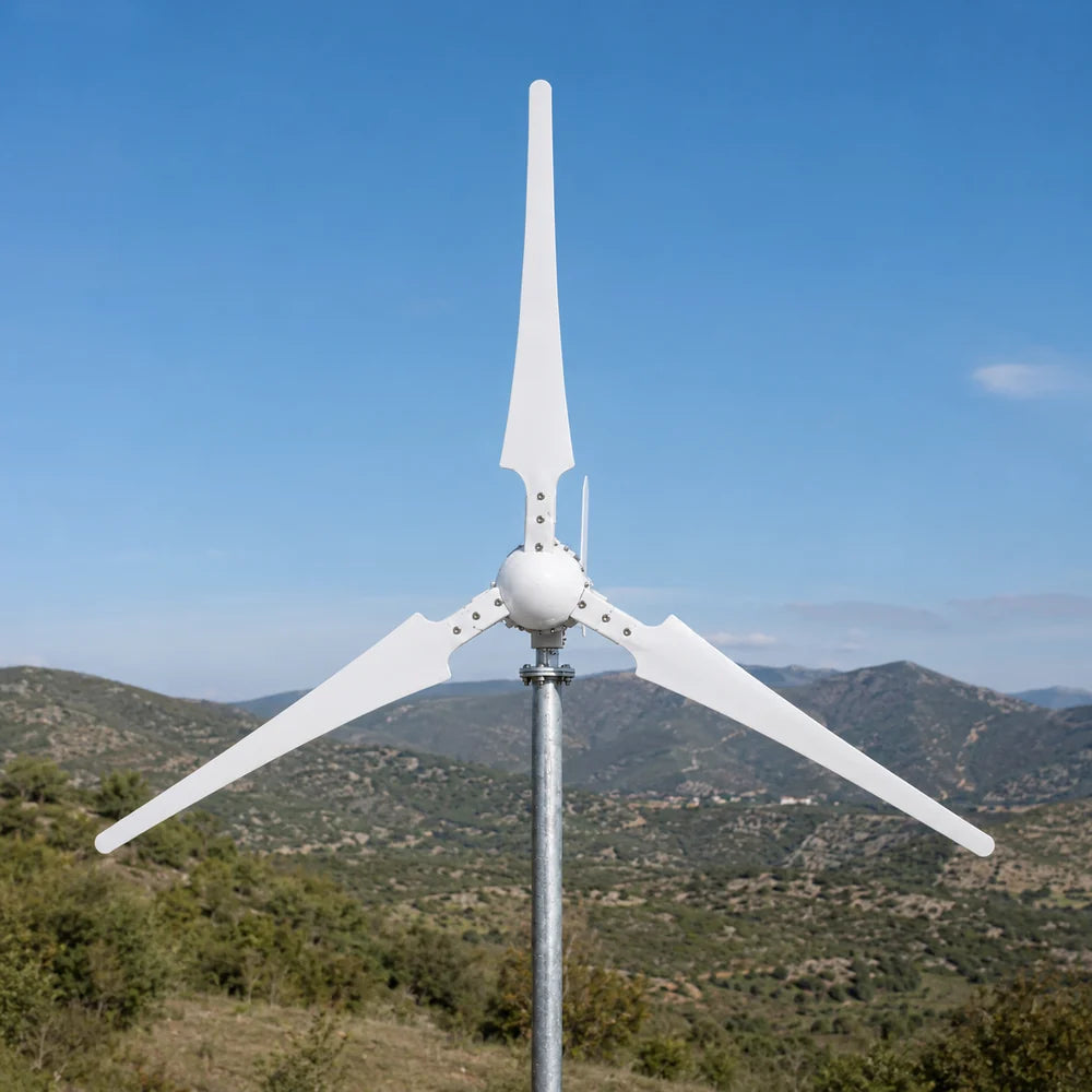 Generador de viento con turbina eólica i-2000W y 48 V